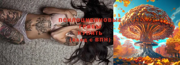 МДМА Горнозаводск
