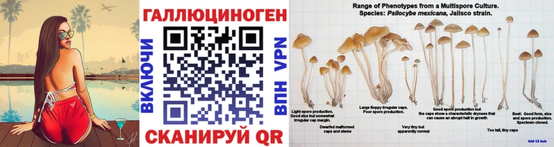 Купить  Кирово-Чепецк  Псилоцибиновые грибы ЛСД 